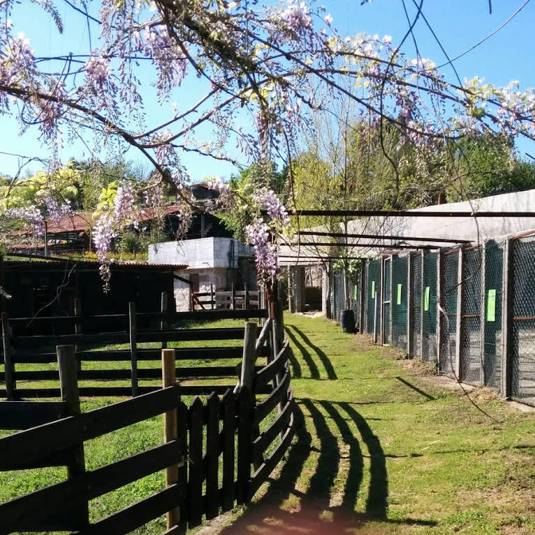 Restaurantes Quinta Pedagógica Quinta das Manas- Actividades pedagógicas, festas de aniversário, Pequenos eventos