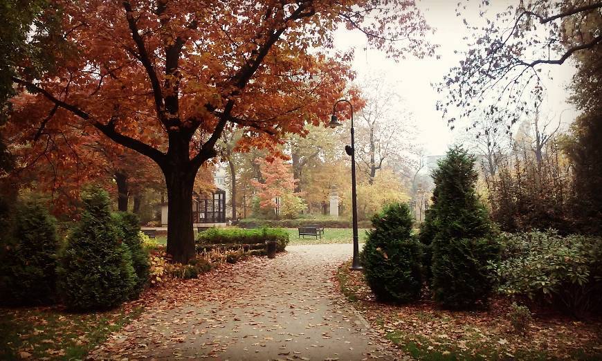 Place Park Staszica