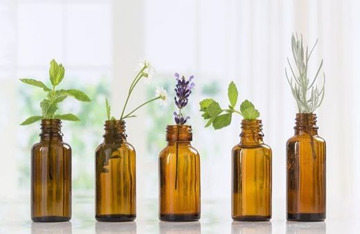 Aromaterapia para iniciantes: como usar óleos essenciais no ...