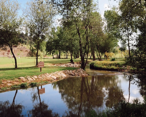 Lugar Parque da Devesa