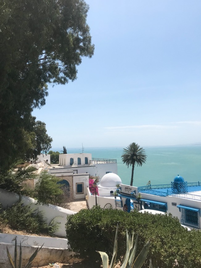 Lugar Sidi Bou Said