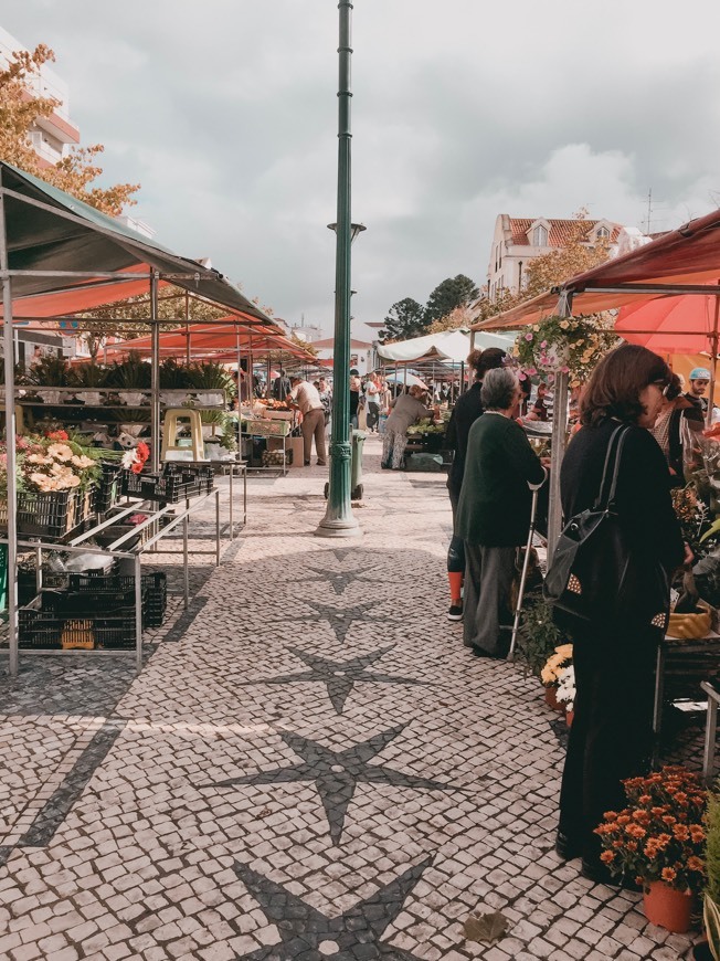 Place praça 5 de Outubro