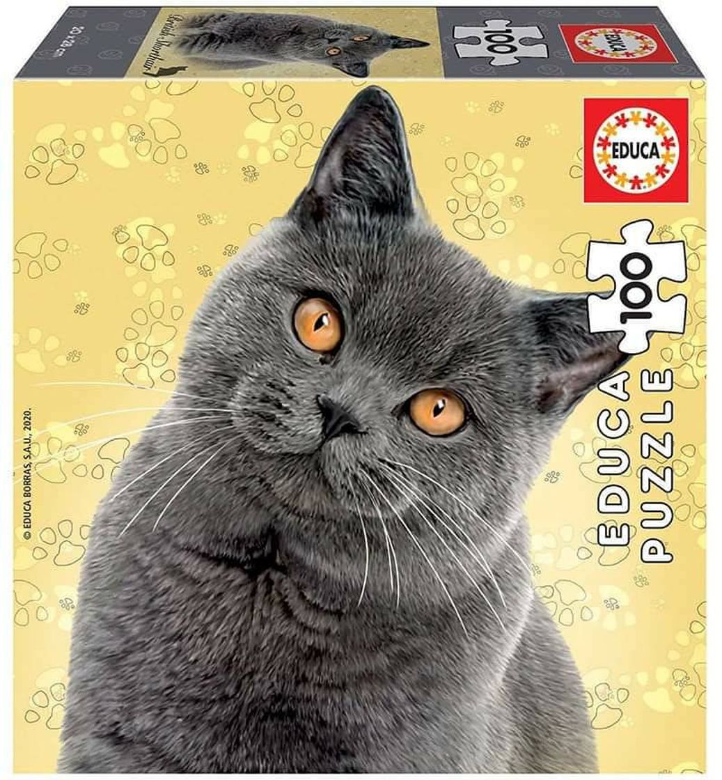 Product Puzzle Educa 100 British Shorthair