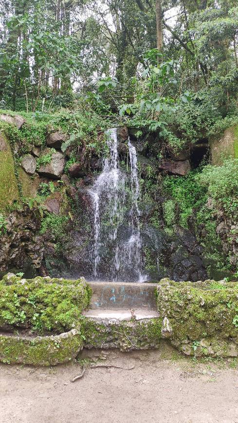 Lugar Quinta da Regaleira