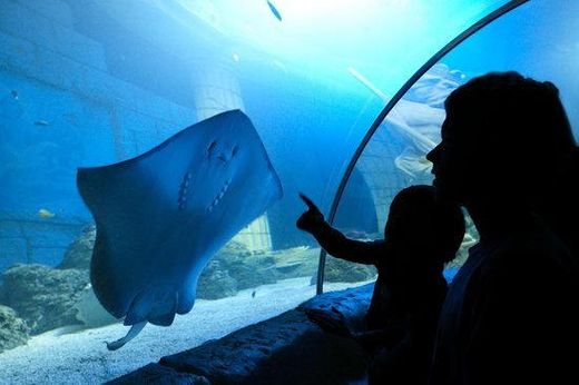 SEA LIFE Porto