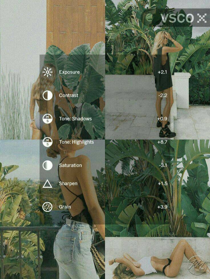 🌿