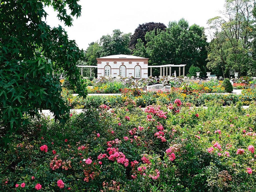 Place Palmengarten