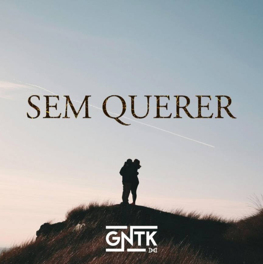 Canción Sem querer