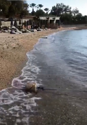 Glyfada Beach