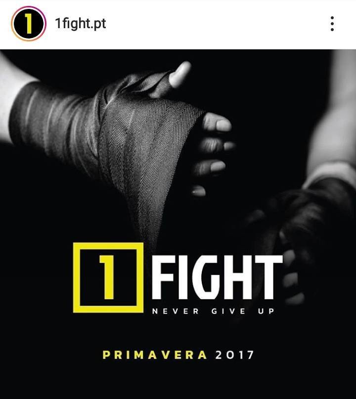 Place 1Fight