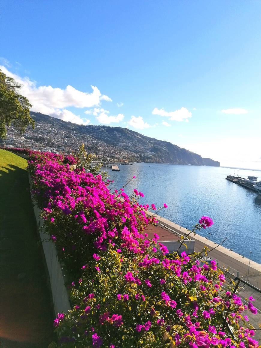 Place Funchal