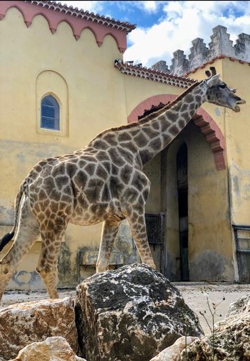 Jardim Zoológico