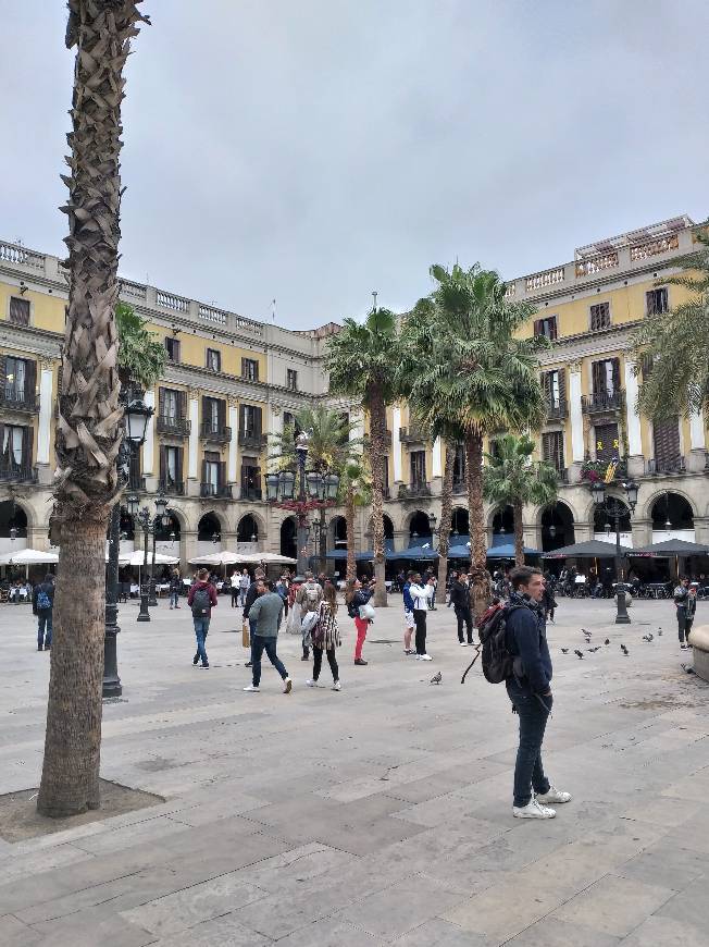 Lugar Plaça Reial