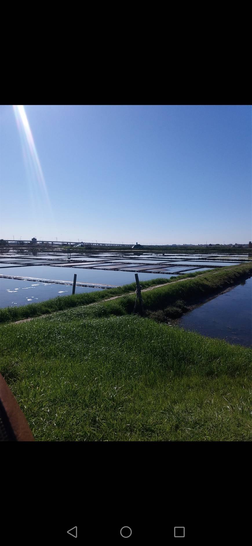 Place Salinas de Aveiro