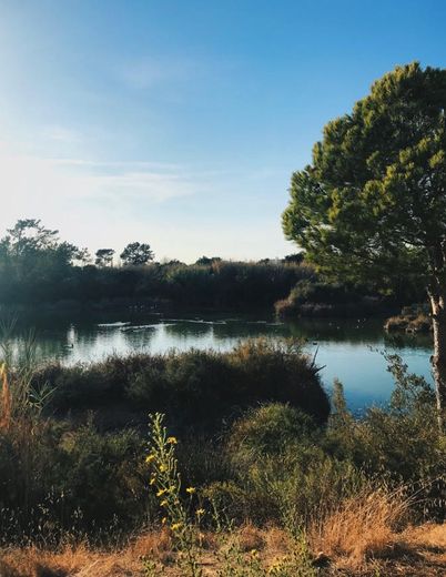 Parque Natural da Ria Formosa - Olhão