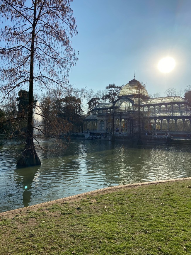 Lugar Palácio de Cristal de la Arganzuela