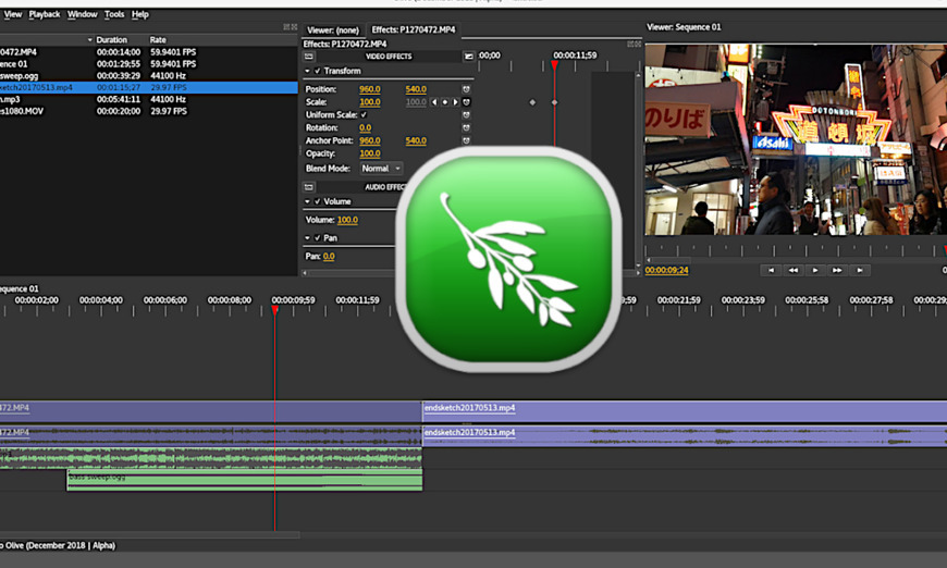 Moda Olive video editor