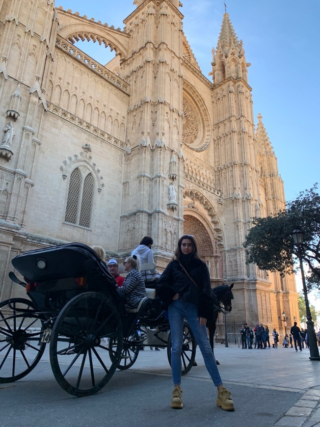 Lugar Catedral-Basílica de Santa María de Mallorca