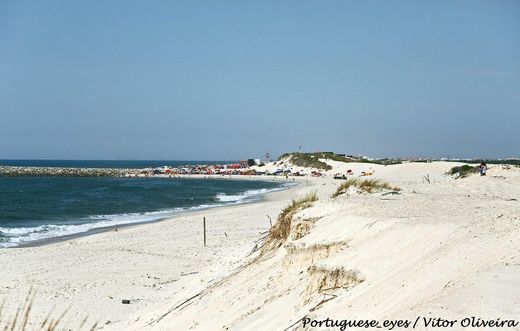 Praia do Areão