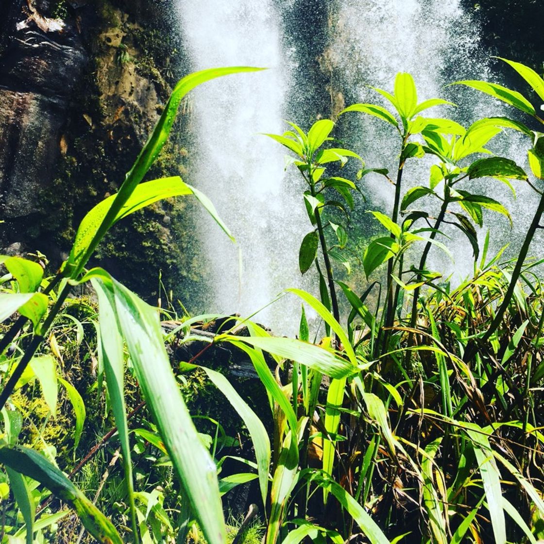 Lugar Baños De Agua Santa