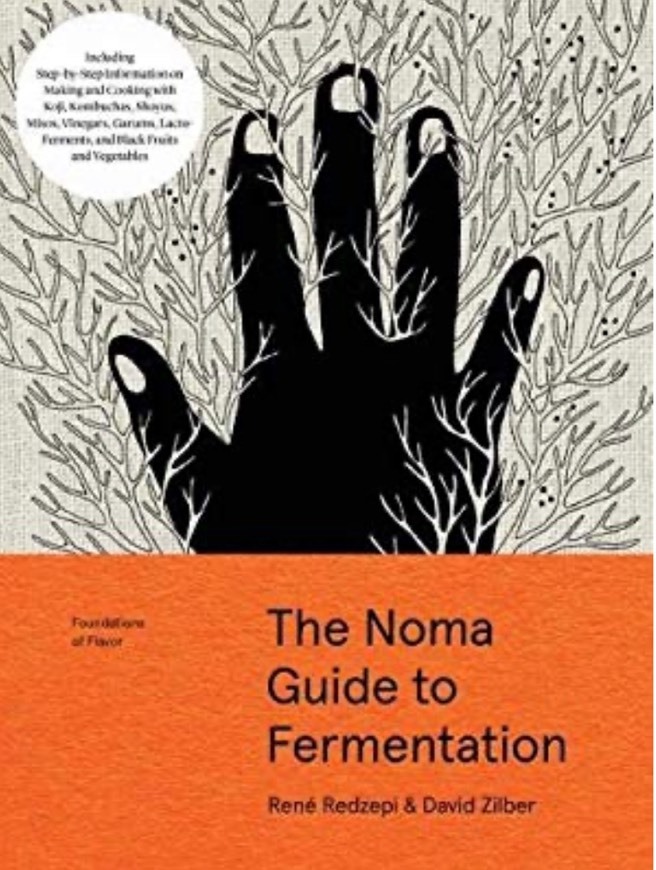 Book The Noma guide to fermentacion 