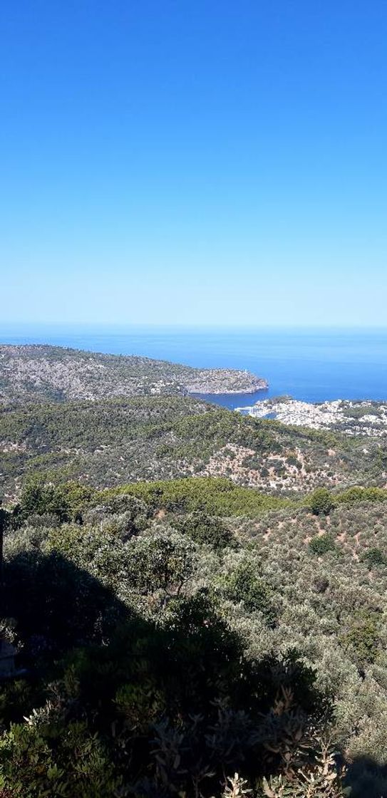 Restaurantes Mirador ses Barques