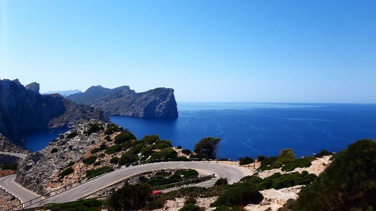 Restaurants Cafeteria Far Formentor