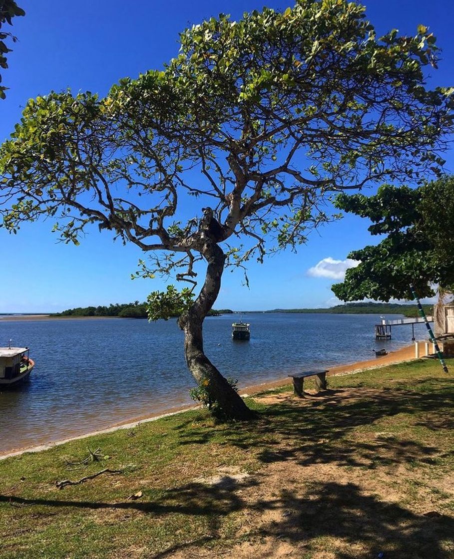 Lugar Santo André