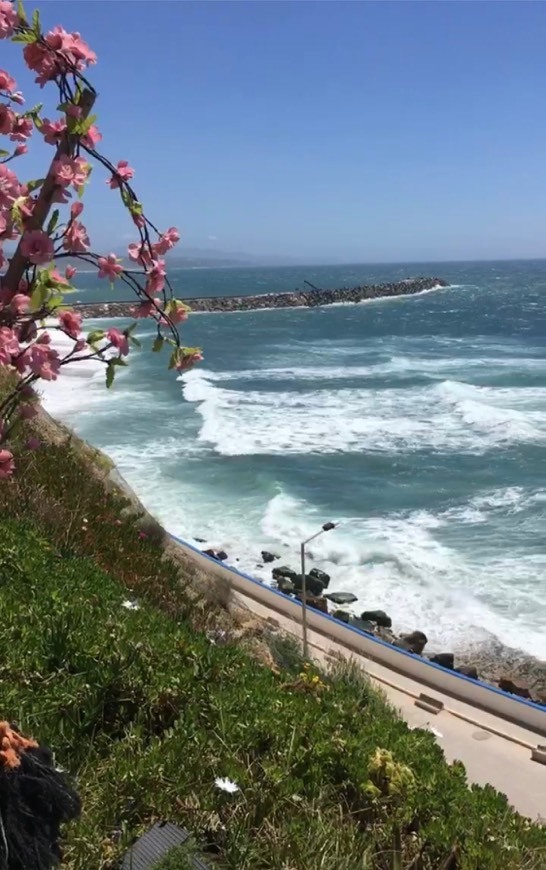 Place Ericeira