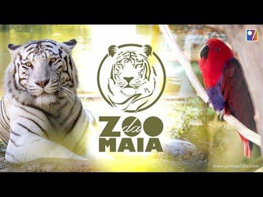 Zoo da Maia