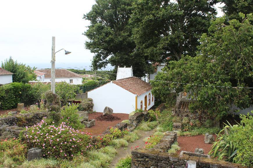 Lugar Wine Museum