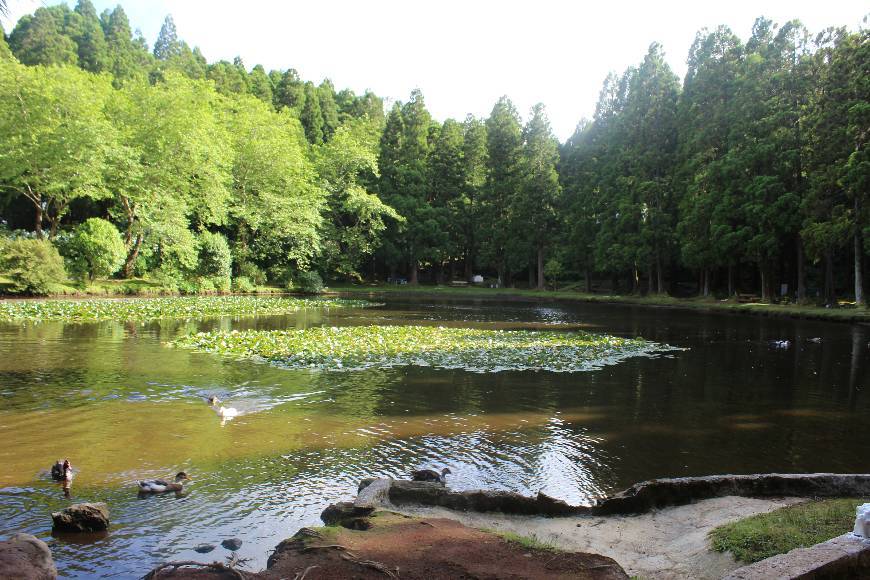 Lugar Reserva Florestal de Recreio da Lagoa das Patas