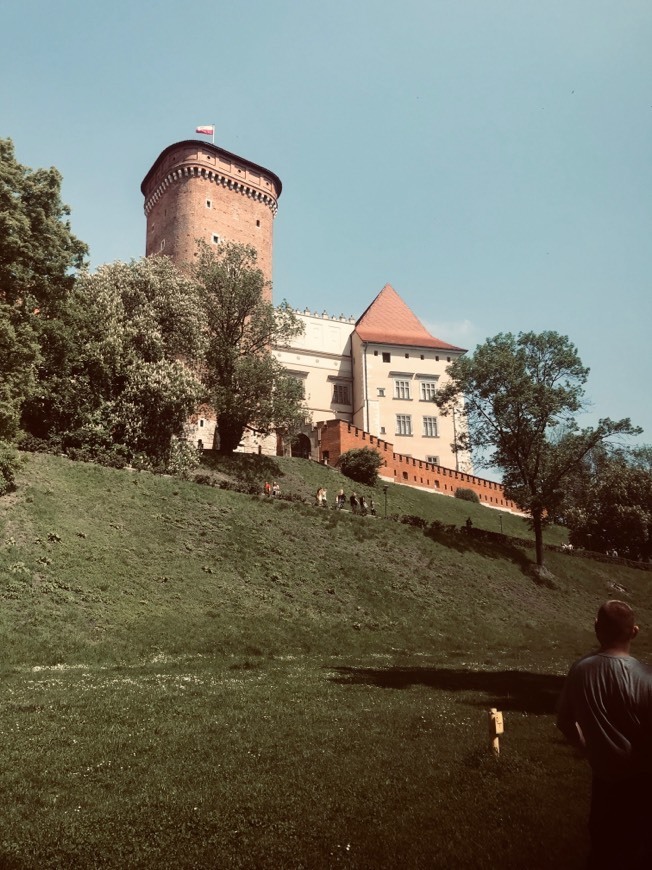 Lugar Castillo de Wawel