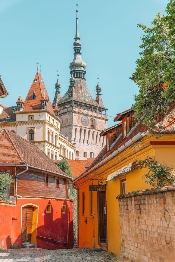 Place Sighișoara