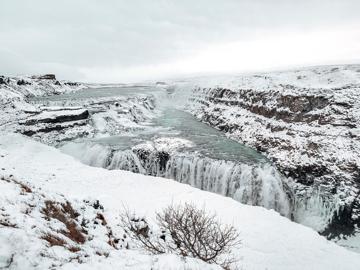 Place Reykjavik Excursions