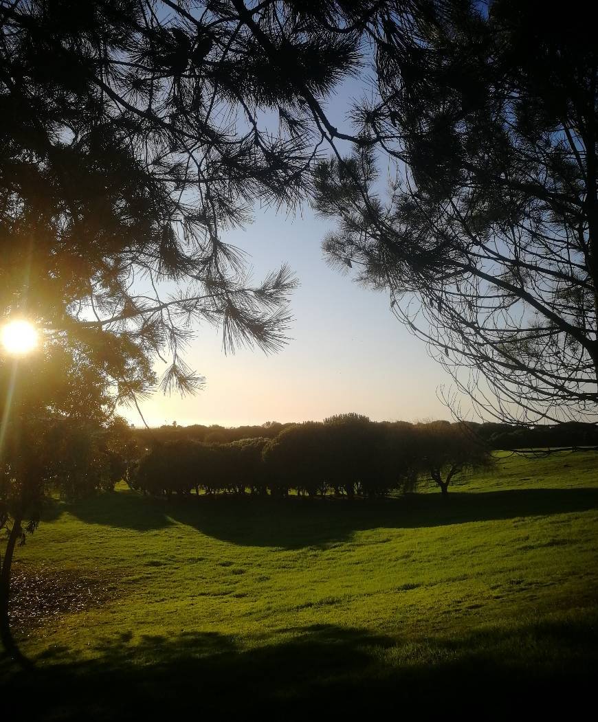 Lugar Parque da Cidade