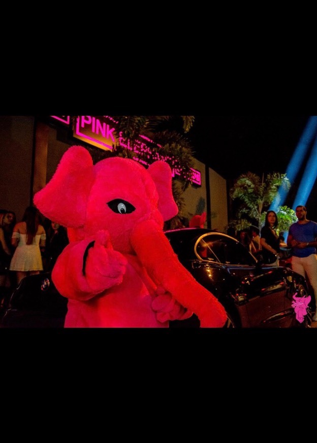 Place Pink Elephant 