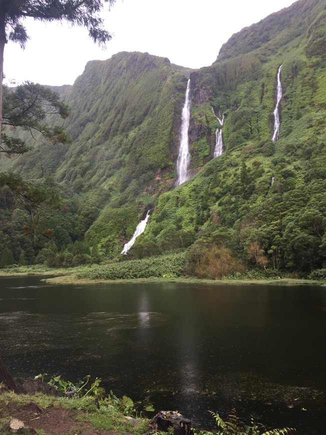 Place Ilha das Flores