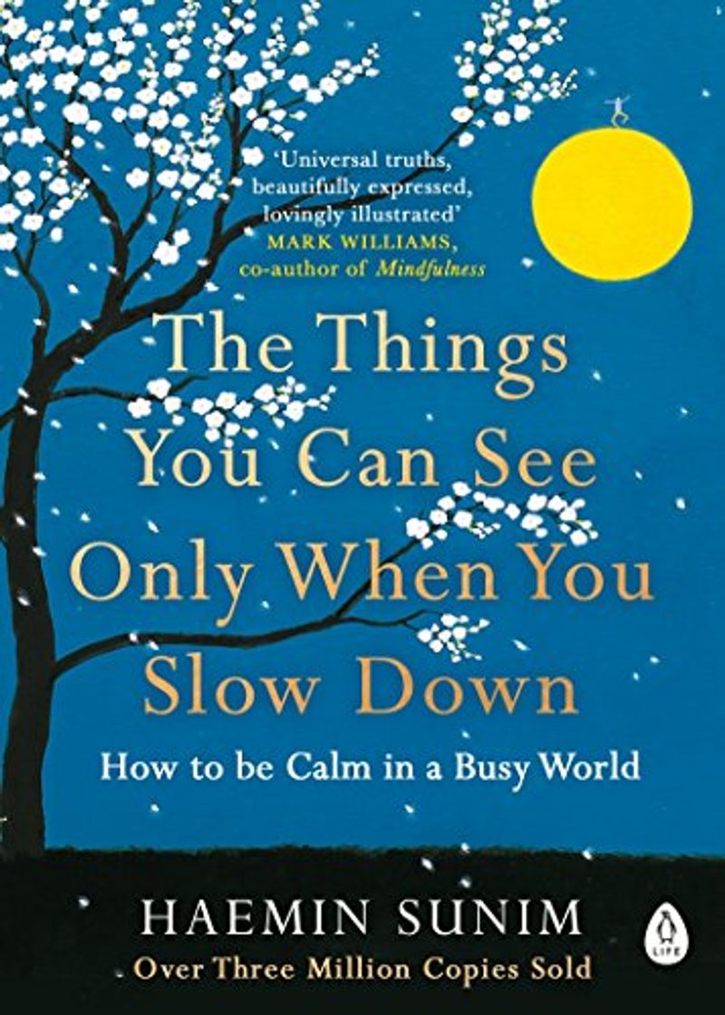 Book The Things You Can See Only When You Slow Down