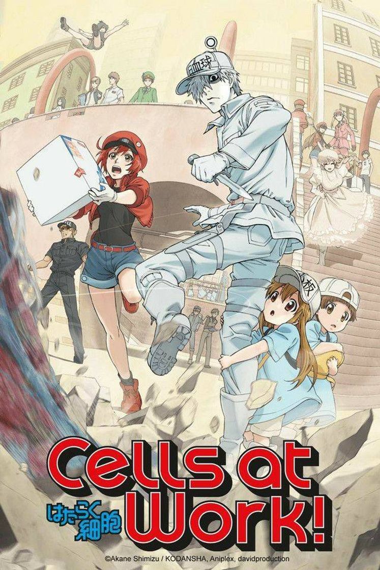 Serie Cells at Work