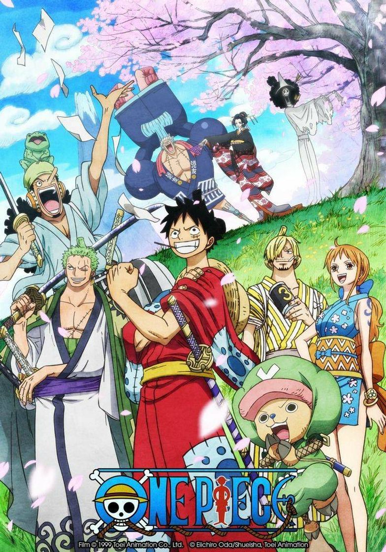 Series One Piece