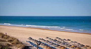 Restaurants Royal Beach