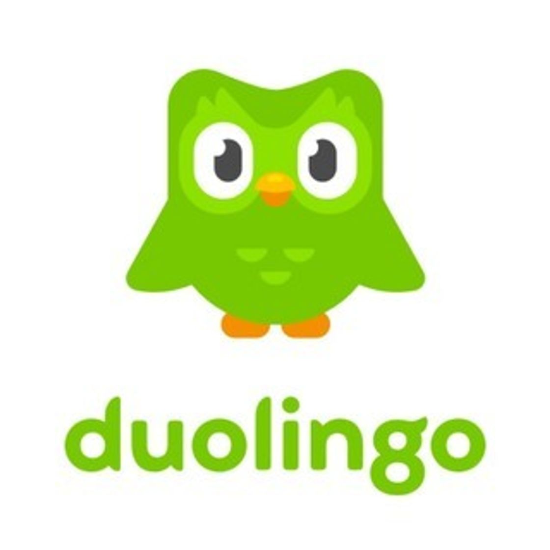App Duolingo Math 