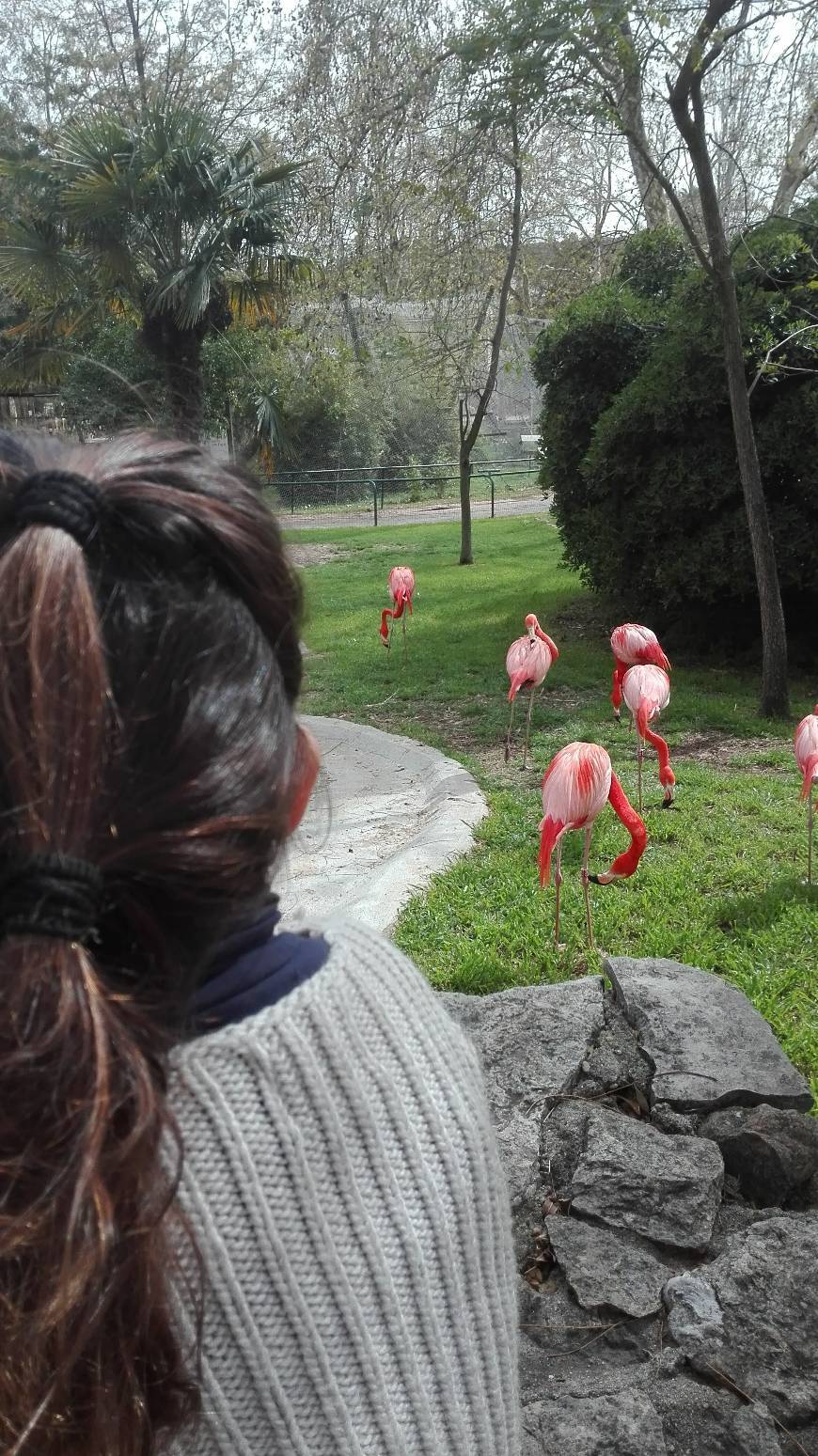 Place Jardim Zoológico de Lisboa