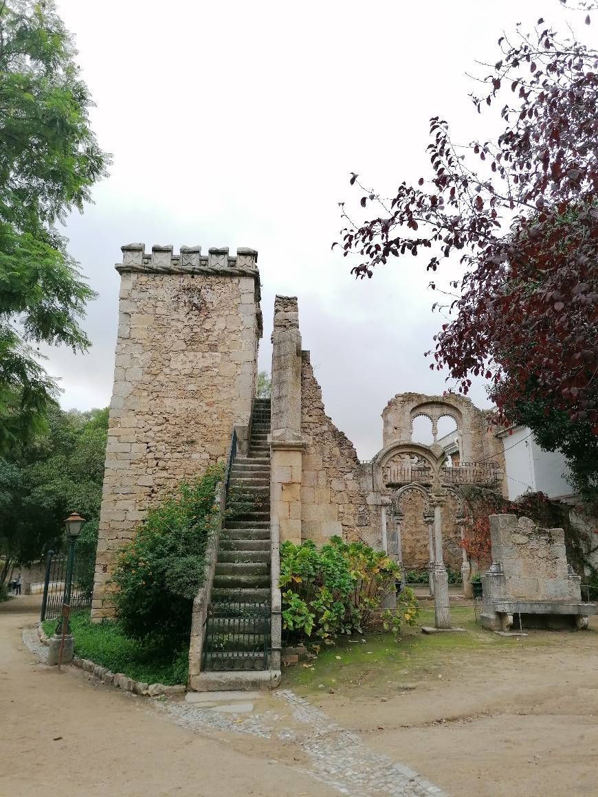 Lugar Jardim Público