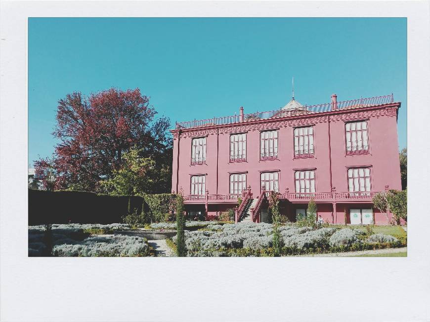 Place Jardín Botánico de la Universidad de Oporto