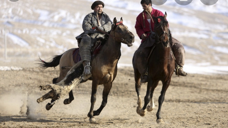 Moda Buzkashi