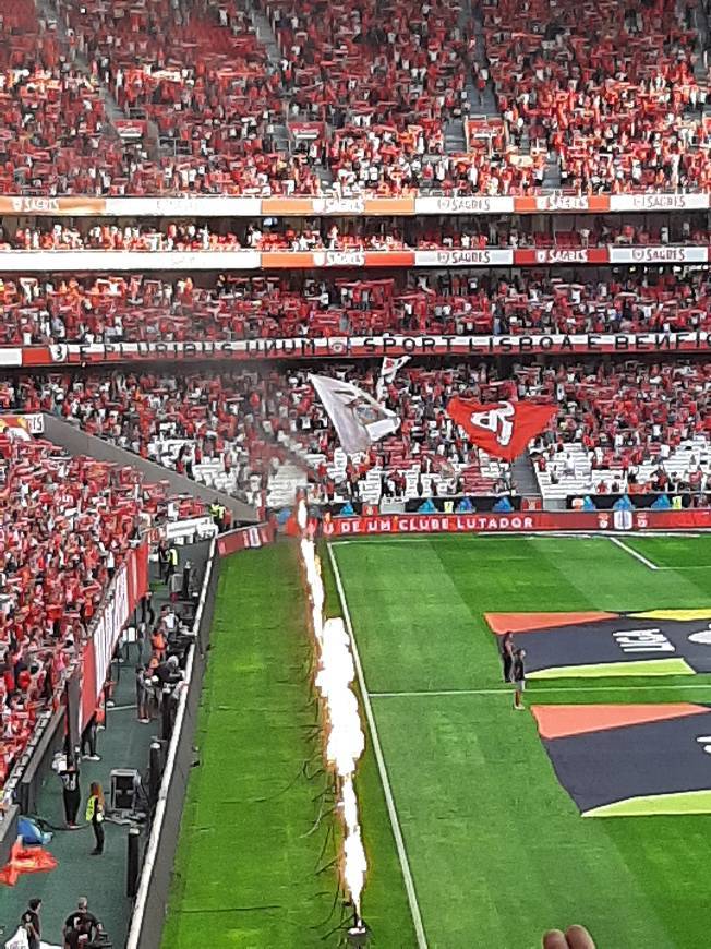 Moda SL Benfica: Site Oficial do Sport Lisboa e Benfica