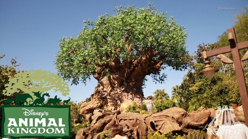 Lugar Animal Kingdom