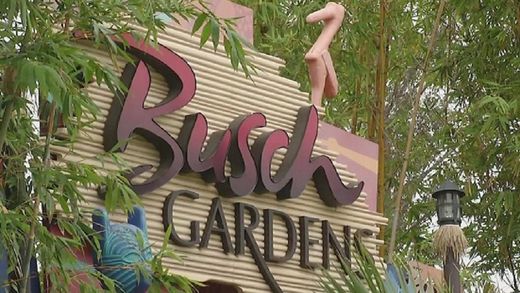 Busch Gardens Tampa Bay